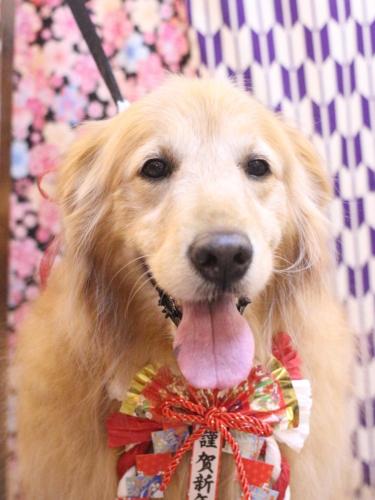 20250129Mickeyちゃん